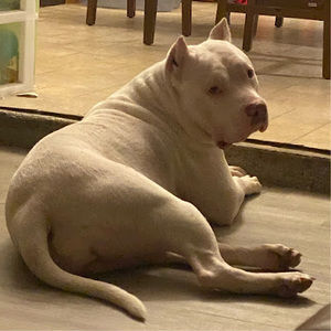 Meet your Posher, Shantel